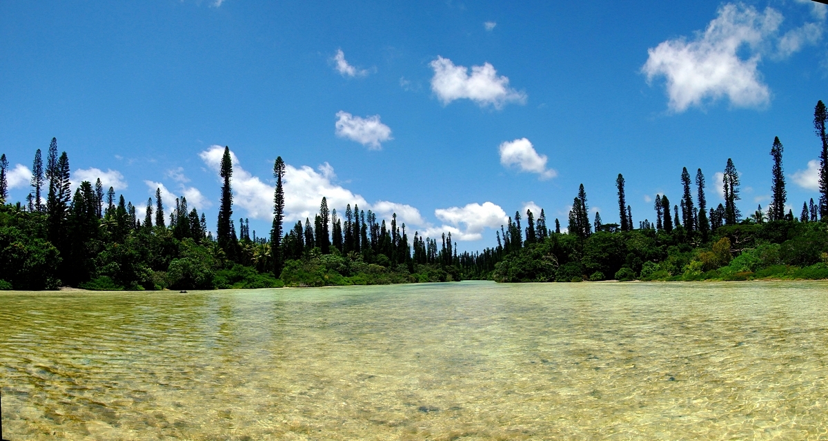 pins-versPiscinenaturelle_5img.jpg - vers la bais de d'Oro, île des Pins - 5img (1.80m x 95cm)