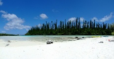 pins-BaieDOro1_5img