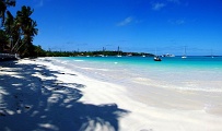 pins-kuto1_3img